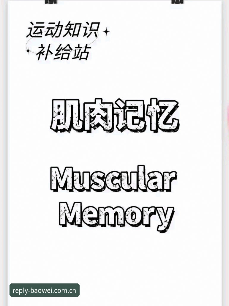 每一步都有回应2025版本评测 宝威体育官网“每一步都有回应2025版本”深度评测:当反馈变成肌肉记忆